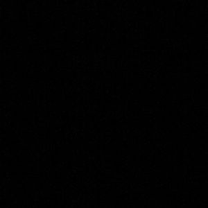 Meet your Posher, Shane